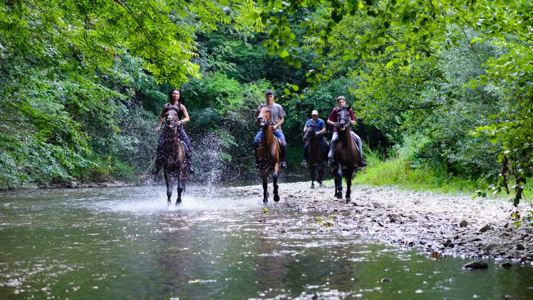 HORSEBACK RIDING EXPERIENCES Blog Post