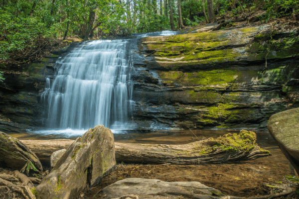 5 MUST-SEE WATERFALLS IN NORTH GEORGIA Blog Post