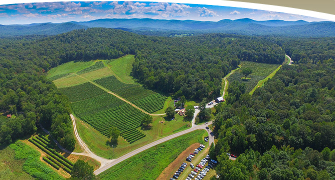 8 NORTH GEORGIA WINERIES Blog Post