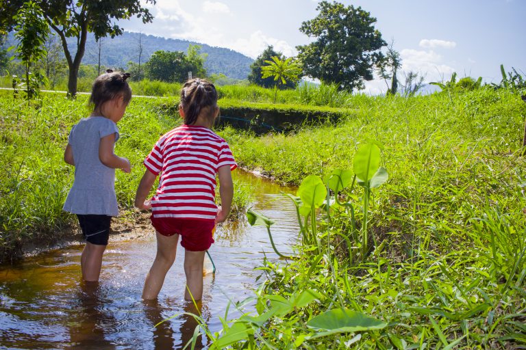 WHAT’S SWIMMING IN THE BLUE RIDGE WATERS? Blog Post