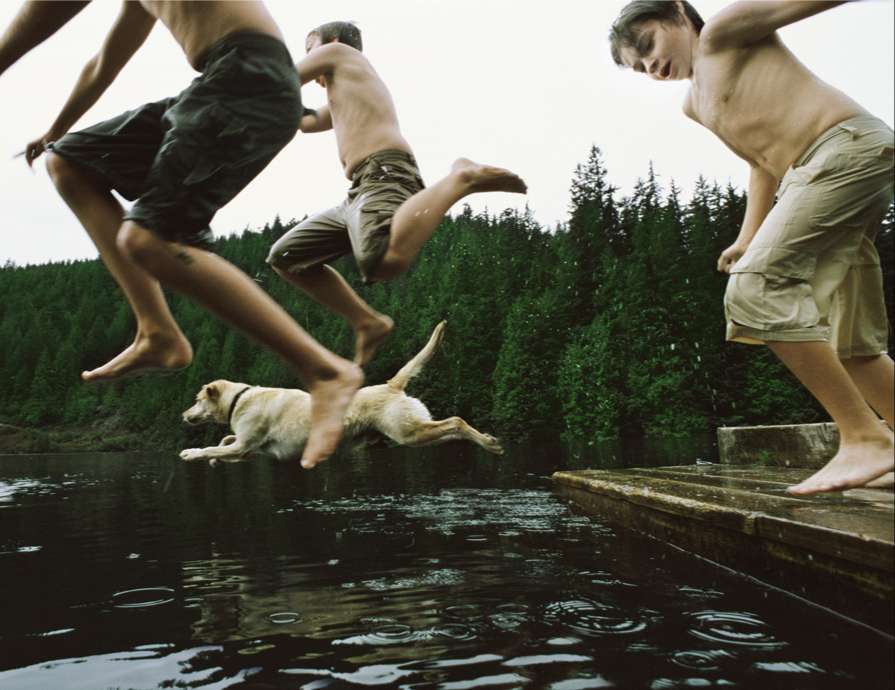 Pet Friendly callout