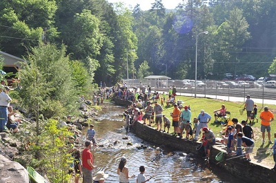 Things To Do FAMILY FISHING FESTIVALS