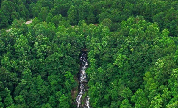 Things To Do AMICALOLA STATE PARK