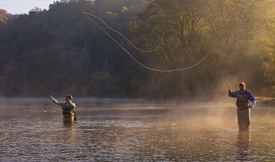 Things To Do GENERAL BLUE RIDGE GA FISHING INFO